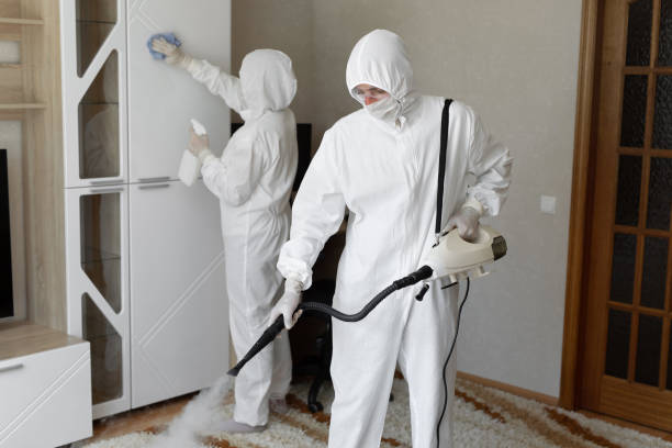 Trusted Sewage Cleanup service in Hampton, IL - Four Month Blood Cleanse